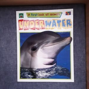 📚 A First Look At Animals Underwater Kids Book 3-6YO EUC